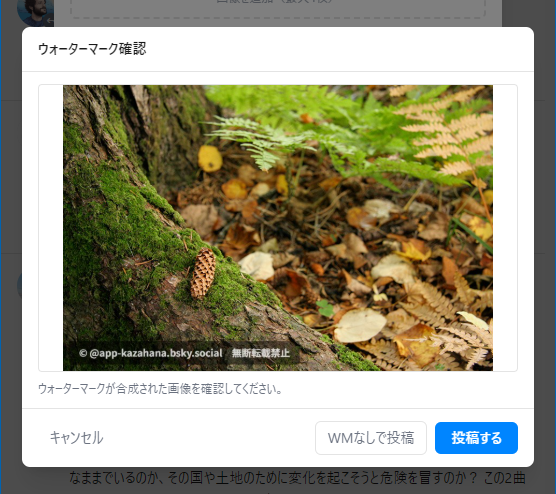 ウォーターマーク確認モーダル